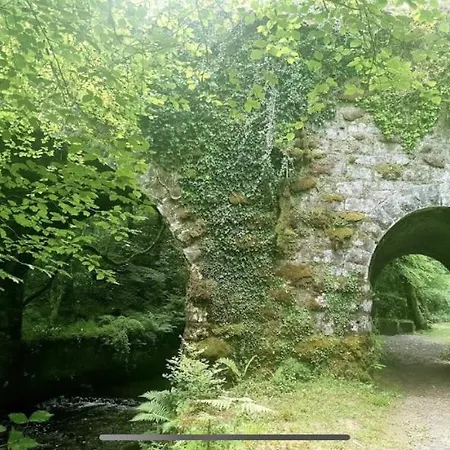 Δωμάτια σε οικογενειακή κατοικία To Rent Skeheenarinky Near Mitchelstown Or *